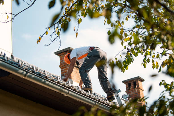 Best Metal Roofing Contractor  in Chippewa Falls, WI