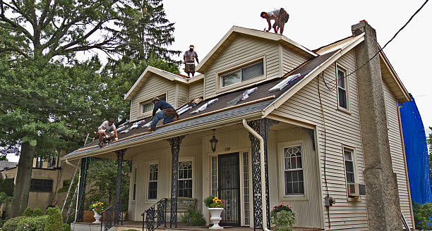 Professional Roofing Contractor in Chippewa Falls, WI